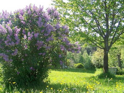 Bild 14 aus  Niederauer Hof