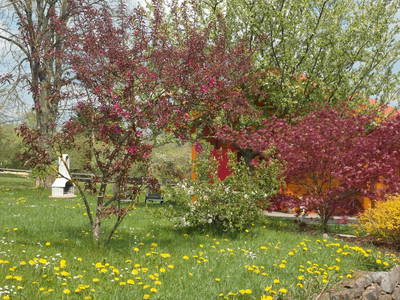 Bild 11 aus  Thelenshof