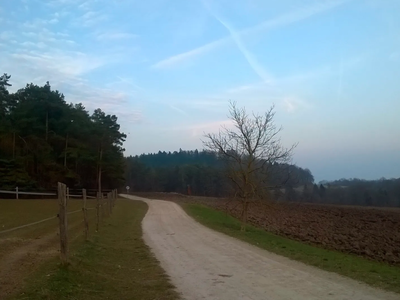 Bild 7 aus  Erlebnishof am Kordigast