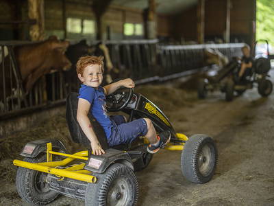 Bild 15 aus  Gut Frielinghausen