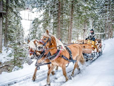 Bild 31 aus  Hornergut