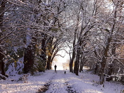 Bild 26 aus  Gut Petersdorf