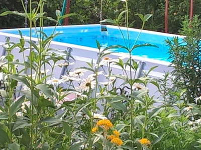 Bild 29 aus  Maierhof