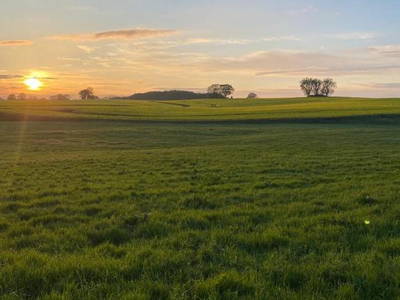 Bild 11 aus  Sprengerhof