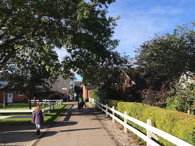 Bild 4 aus  Ferienhof Sell Bauernhofurlaub Ostsee Ponys