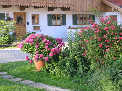 Bild 6 aus  Gästehaus "Zum Jäger"