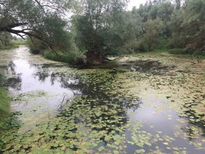 Bild 11 aus  Ferienwohnung Wendland-am-Weinberg