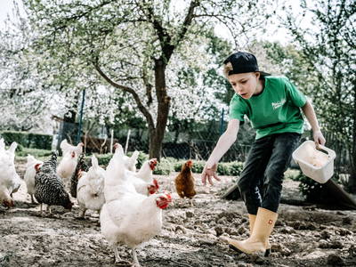 Bild 10 aus  Erlebnishof Mültner