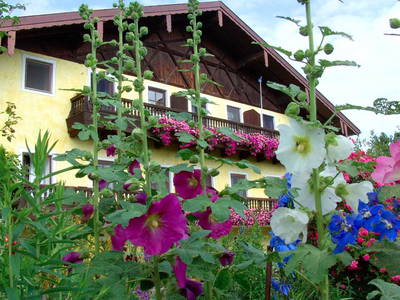 Bild 4 aus  Köllhof