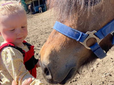 Bild 24 aus  Berghotel Presslauer