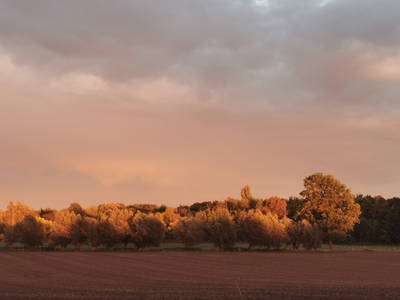 Und wieder vor unserer Haustür - Licht formt unsere Landschaft mit