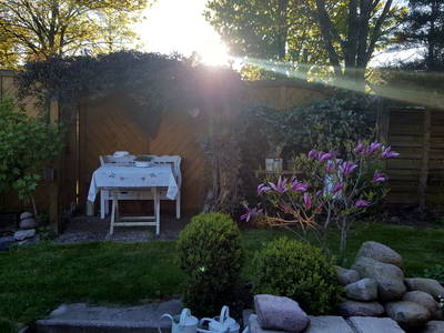 Bild 7 aus  Ferienbauernhof Behnke