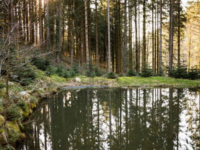 Bild 7 aus  Friedershof