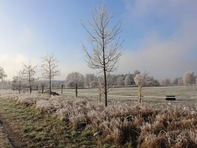Bild 7 aus  Annas Haus am waldreichen Stadtrand Berlins