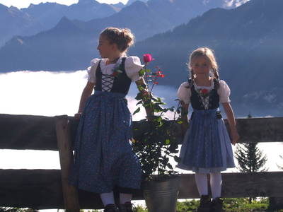 Bild 17 aus  Landhaus Alt mit  Bauernhof* Gesundes Wohnen In Freier Natur* Tolle-Angebote *Bergbahn Unlimited*