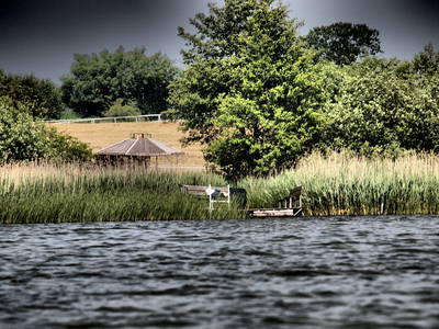 Bild 11 aus  Gestüt Hof am See