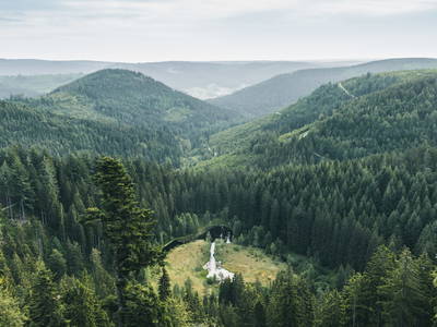 Bild 16 aus  Gutshof Armbruster