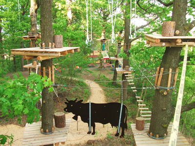 Bild 21 aus  Zum Wolffenturm