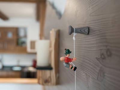 Bild 6 aus  Ferienwohnungen Seehof am Waginger See