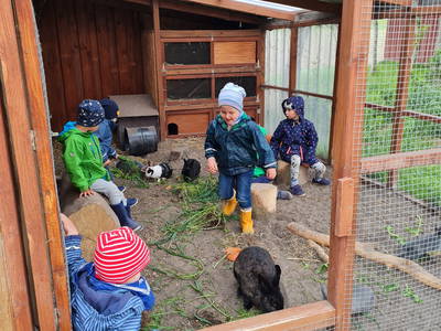 Bild 9 aus  Küstenhof Oldewurtel