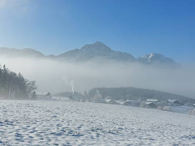 Bild 38 aus  Fuchsbauernhof