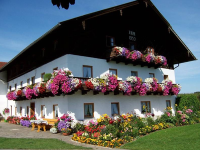 Bild 2 aus  Luginger Hof