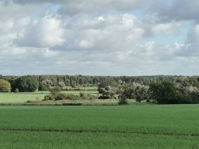 Die Weite läßt vergessen wie nah Berlin und Potsdam sind