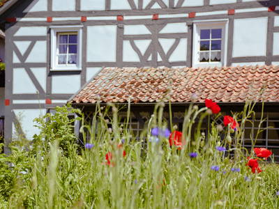 Bild 11 aus  LandSelection Märchen-Kinderbauernhof Ponyhof  -  Weidelshof                    Kassel-Edersee-Berge