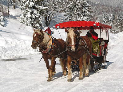 Bild 26 aus  Exenbacher Hof