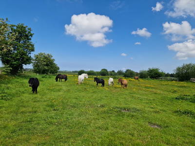 Bild 22 aus  Hof Janssen