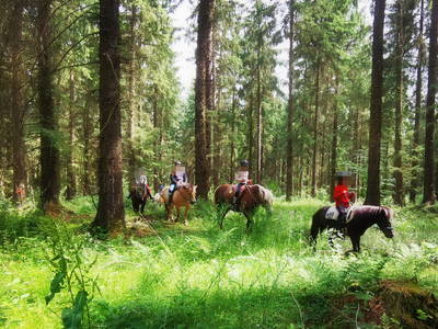 Bild 13 aus  Ferienhof-Marx