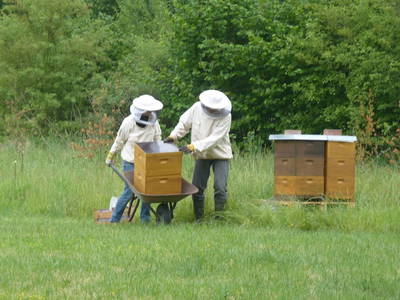 Bild 26 aus  Leverenzhof