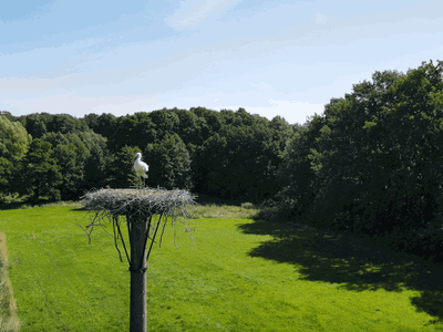 Bild 14 aus  Neulandhof-Spöring