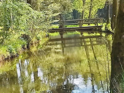 Bild 10 aus  Ferienhof & Campingplatz Schweinmühle