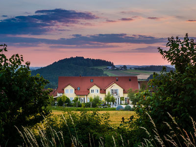 Bild 2 aus  Hollerhöfe - Zu Gast im Dorf