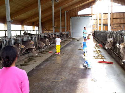 Bild 4 aus  Martinshof