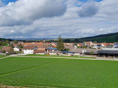 Bild 20 aus  An Webers Stoag