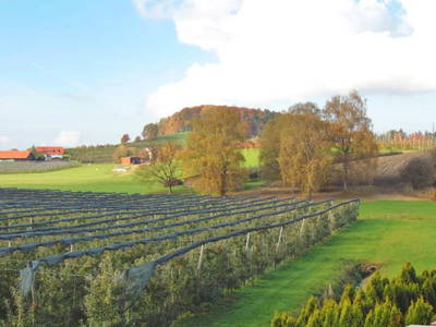 Bild 5 aus  Ferienhaus Ganal