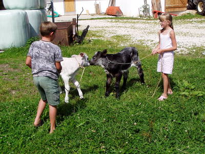 Bild 17 aus  Bruggerhof