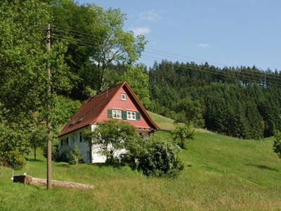 Bild 5 aus  Hanselishof