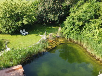 Badeteich mit Liegewiese und Terasse