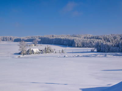 Genieße die Natur vor der Haustüre