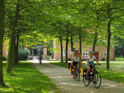 Bild 9 aus  Kloster Bentlage