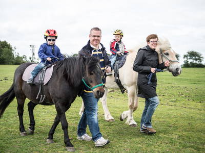 Bild 7 aus  Ferienhof Lorenzen