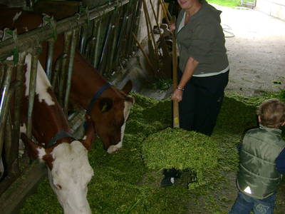 Bild 40 aus  Familien-Bauernhofurlaub im Herzen der Schweiz