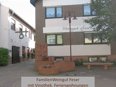 Bild 5 aus  FamilienWeinGut Feser mit Ferienwohnungen, Vinothek und Erlebnis am Jakobsweg-Rheinhessen