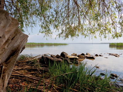 Bild 8 aus  Biberburg und Schwalbennest