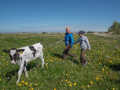 Bild 16 aus  Lindenhof