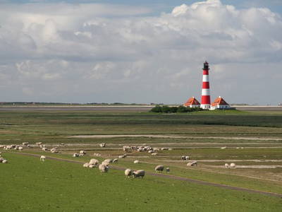 Bild 8 aus  Ferienhof Gertz