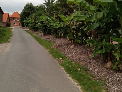 Bild 13 aus  Angelhof Weseloh